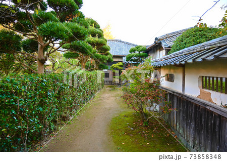 萩 菊屋横丁 町並み 萩市 萩 菊屋横丁 町並み 萩市 73858348