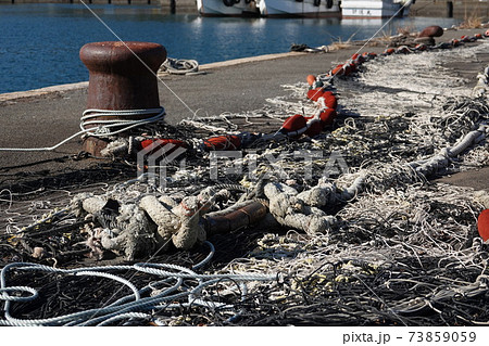 岸壁のピット 73859059