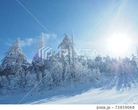 晴天の樹氷 晴天の樹氷 73859068