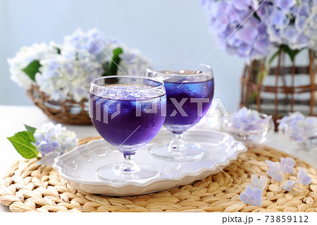 バタフライピーティーでリフレッシュ 73859112