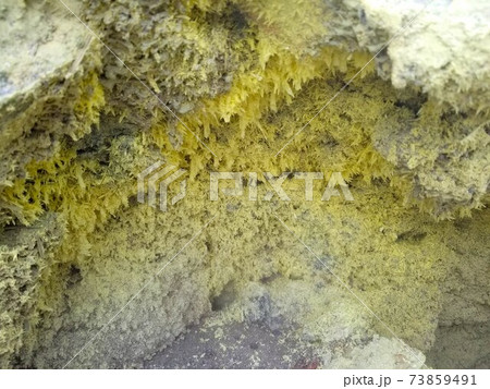 蔵王山の新噴気孔そばでみられる黄色い硫黄の結晶 蔵王山の新噴気孔そばでみられる黄色い硫黄の結晶 73859491