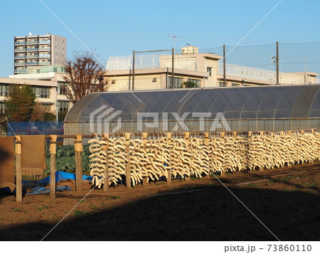 大根干し 大根干し 73860110