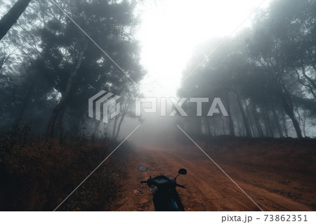 Fog and trees in the tropical forest Fog and trees in the tropical forest 73862351