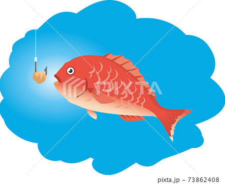 釣られそうな魚 鯛 のイメージイラストのイラスト素材