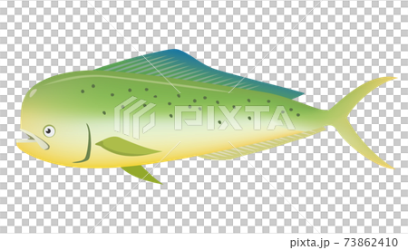 Image illustration of dolphin fish (sea creature) 73862410