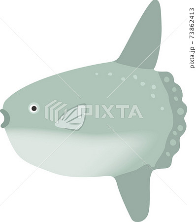 泳いでいるマンボウのイメージイラストのイラスト素材