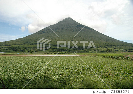 開聞岳とさつま芋畑 開聞岳とさつま芋畑 73863575