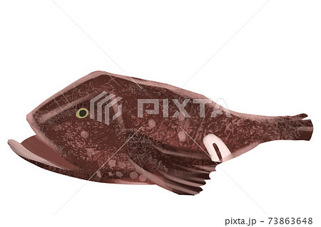 アンコウ アンコウ 73863648