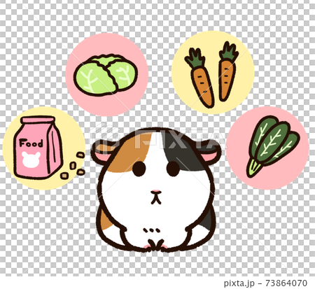 かわいいモルモットと餌 73864070