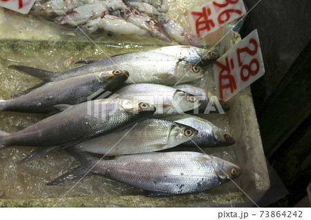 香港島北角の市場で売られるボラ 日本では小骨が多く好まれないが 潮州料理でよく使われる高級魚の写真素材