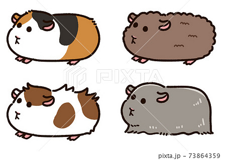 色々なモルモット セット 横向きのイラスト素材