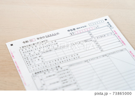 確定申告 白色 申告 青色申告 損失 繰越損失 73865000