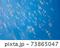 カラフルに輝くシャボン玉 73865047