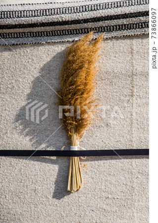Broom, household, cleaning services, concept. Broom, household, cleaning services, concept. 73866097