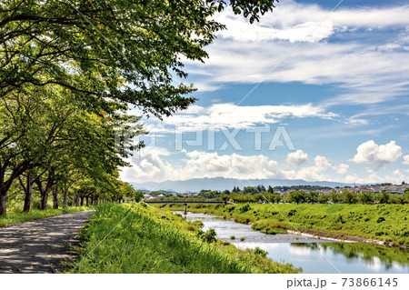 兵庫県三田市、秋の武庫川沿い桜並木 73866145