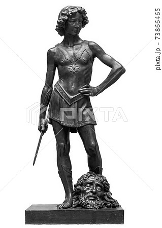 David and Goliath head ancient statue. Biblical story. Antique sculpture isolated on white background David and Goliath head ancient statue. Biblical story. Antique sculpture isolated on white background 73866465