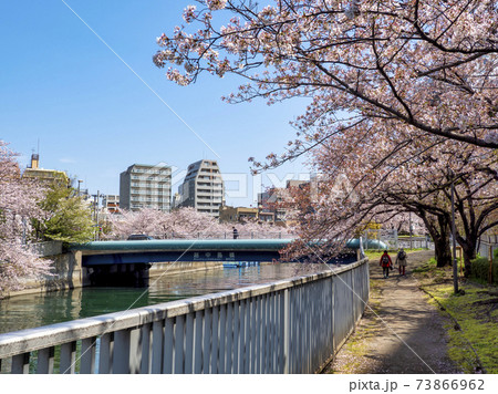 越中島橋と桜・江東区 73866962
