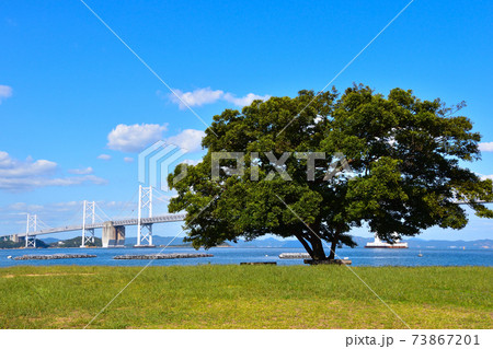 南備讃瀬戸大橋 沙弥島より 南備讃瀬戸大橋 沙弥島より 73867201