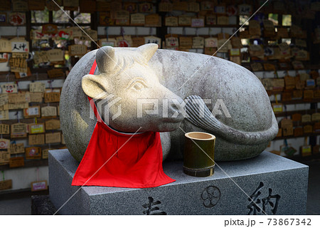 上宮天満宮の撫牛-5 上宮天満宮の撫牛-5 73867342