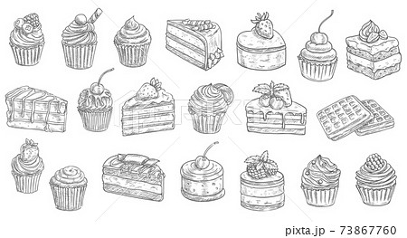 Cakes, cheesecakes sketch pastry dessert sweets 73867760