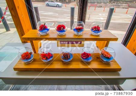 伊豆大島の玄関口である岡田港船客待合所内に展示されている東京都立大島公園の椿のドライフラワー 73867930