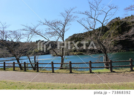 昭和の森 小中池公園 昭和の森 小中池公園 73868392