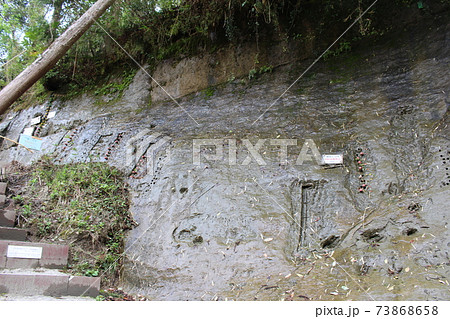地球磁場逆転期の地層 地球磁場逆転期の地層 73868658