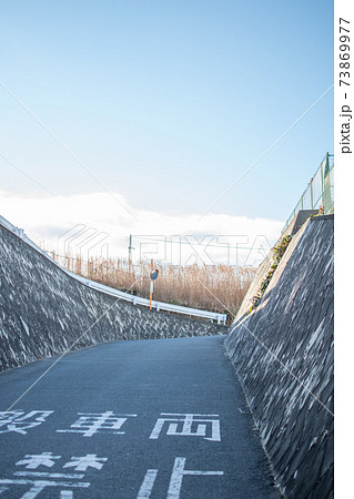 荒川河川敷へ向かう道 荒川河川敷へ向かう道 73869977