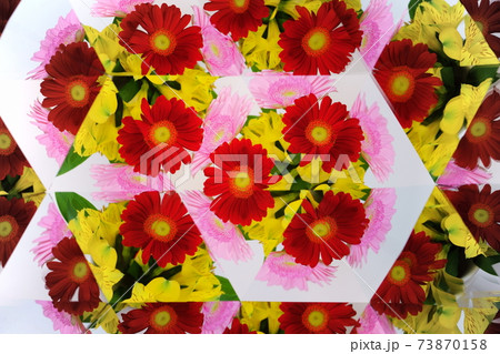 ガーベラとアルストロメリア・万華鏡1 73870158