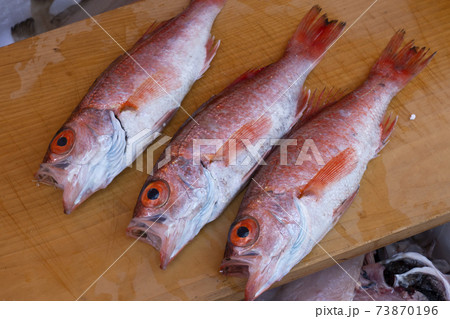 【石川県】高級魚 能登産のどぐろ 【石川県】高級魚 能登産のどぐろ 73870196