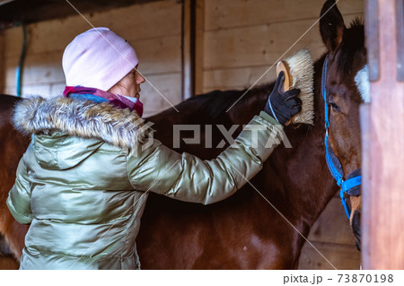 cleaning horses with the help of brushes in the barn cleaning horses with the help of brushes in the barn 73870198