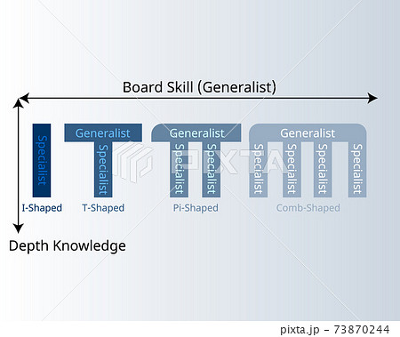 T shaped, Pi shaped and comb shaped model to see the range of generalist and specialist vector T shaped, Pi shaped and comb shaped model to see the range of generalist and specialist vector 73870244