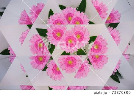 ピンクのガーベラ・万華鏡2 ピンクのガーベラ・万華鏡2 73870300