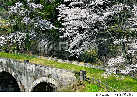 石橋と桜 73870569