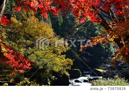 大分の紅葉の名所 陽目渓谷、白水の滝 大分の紅葉の名所 陽目渓谷、白水の滝 73870826