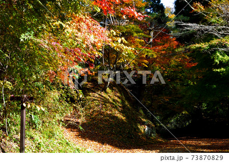 大分の紅葉の名所 陽目渓谷、白水の滝 大分の紅葉の名所 陽目渓谷、白水の滝 73870829