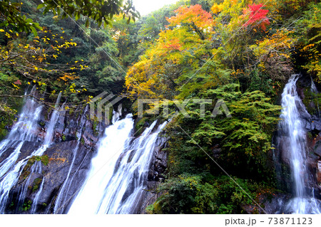大分の紅葉の名所 陽目渓谷、白水の滝 大分の紅葉の名所 陽目渓谷、白水の滝 73871123