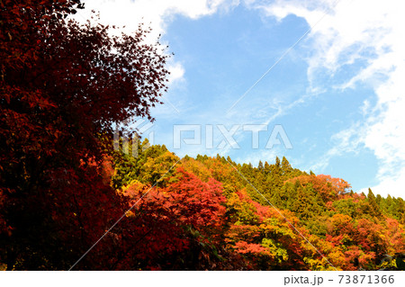 大分の紅葉の名所 陽目渓谷、白水の滝 大分の紅葉の名所 陽目渓谷、白水の滝 73871366