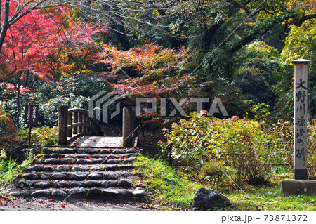 大分の紅葉の名所　陽目渓谷、白水の滝 73871372