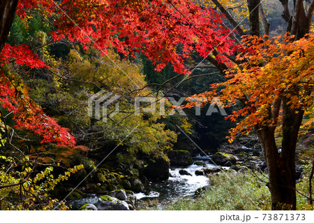 大分の紅葉の名所　陽目渓谷、白水の滝 73871373