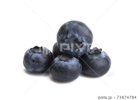 blueberry isolated 73874784