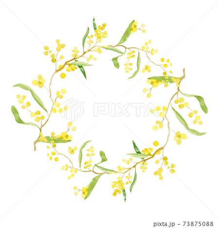 Watercolor illustration. Hello Spring. Mimosa wreath. Round frame. Isolated illustration on white background. Watercolor illustration. Hello Spring. Mimosa wreath. Round frame. Isolated illustration on white background. 73875088