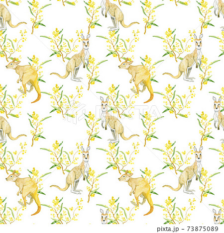 Australia symbols Acacia, Kangaroo, seamless pattern background 73875089