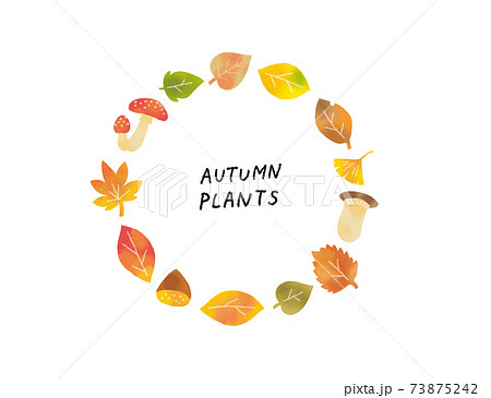 カジュアルなタッチ 秋の落ち葉やキノコのイラストセットのイラスト素材