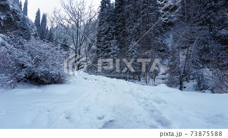 Mountain forest is completely covered with snow. Mountain forest is completely covered with snow. 73875588