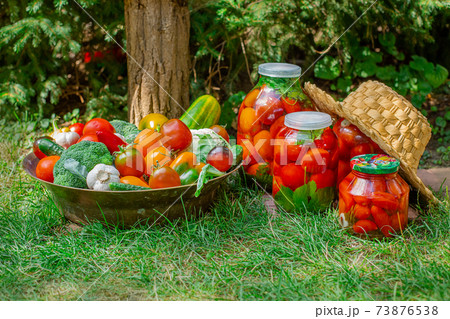 Production of canned tomatoes in the jar Production of canned tomatoes in the jar 73876538