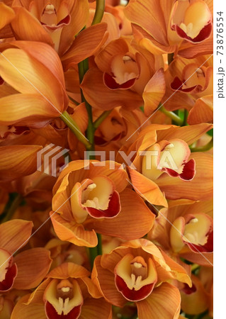 ラン　オリエンタルチャイム 73876554