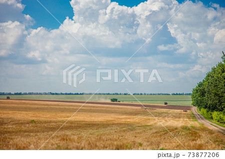 Harvester in the field harvest. Rural landscape of sky and field. 73877206