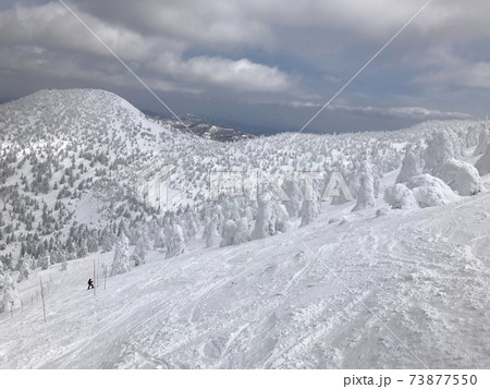 冬の八甲田ロープウェースキー場のフォレストコース 73877550