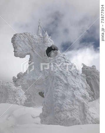 冬の八甲田山のスノーモンスター 冬の八甲田山のスノーモンスター 73877934